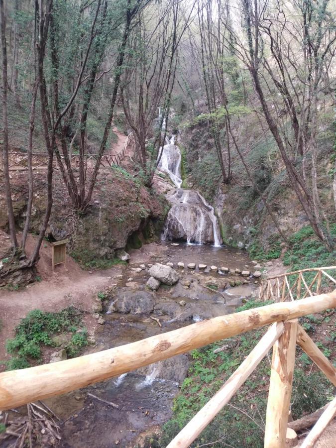 巴萨诺－德尔格拉帕Poggio Del Sole住宿加早餐旅馆 外观 照片