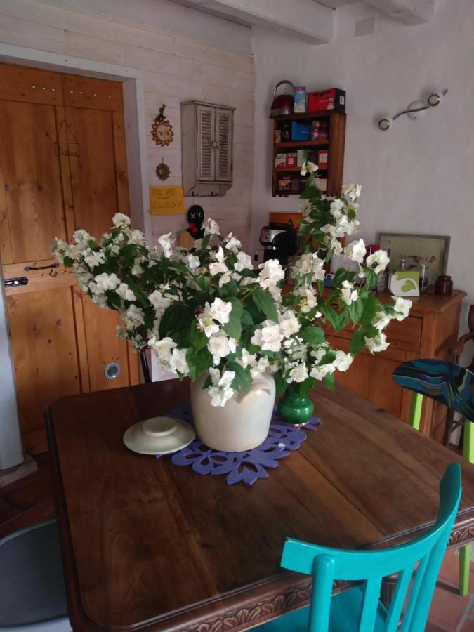 巴萨诺－德尔格拉帕Poggio Del Sole住宿加早餐旅馆 外观 照片