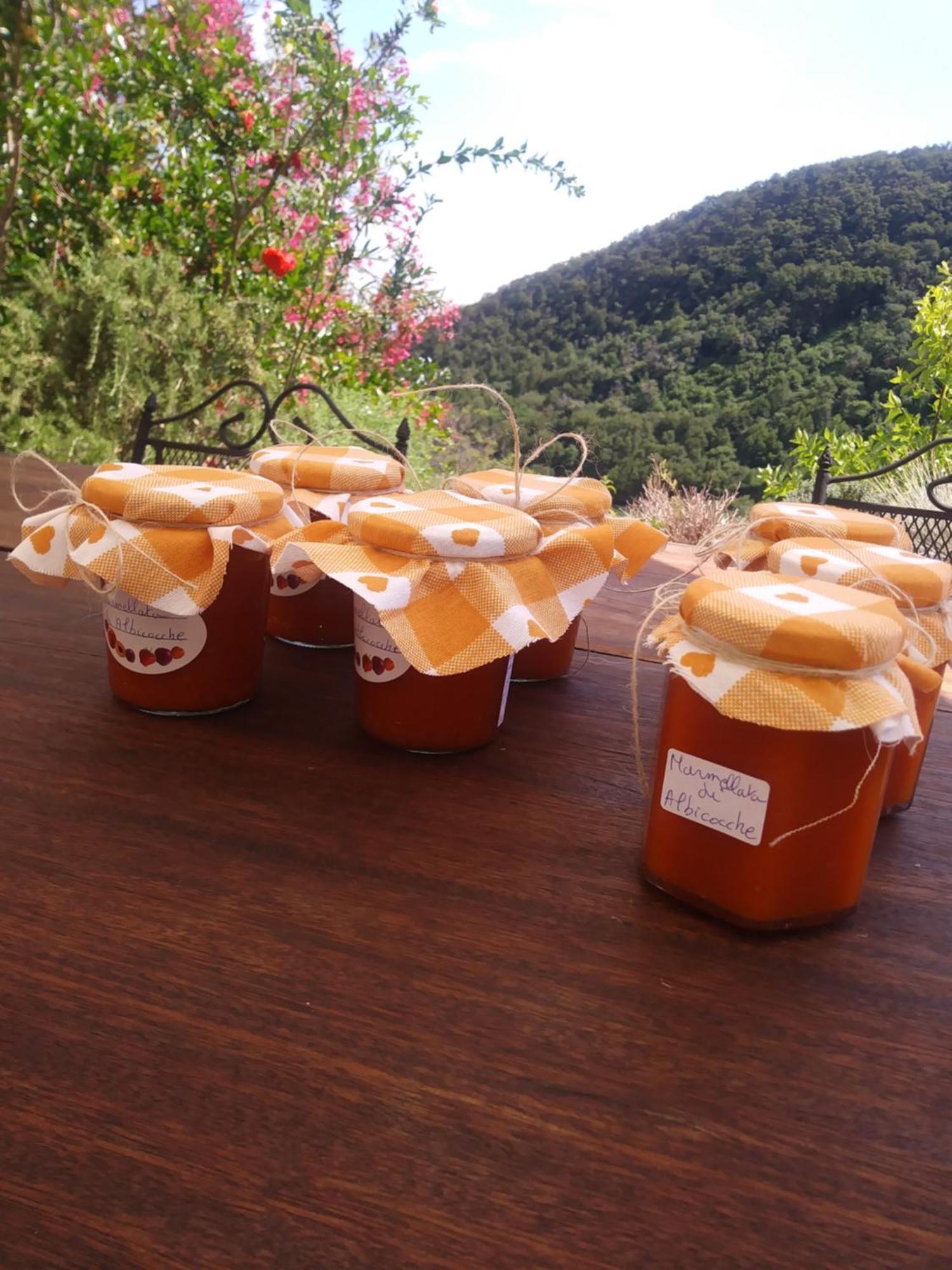 巴萨诺－德尔格拉帕Poggio Del Sole住宿加早餐旅馆 外观 照片